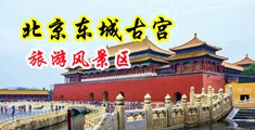 破处好舒服好深在线看中国北京-东城古宫旅游风景区